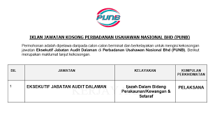 Perbadanan nasional berhad (pns) is an agency owned by the ministry of finance incorporated. Jawatan Kosong Terkini Perbadanan Usahawan Nasional Berhad Punb Eksekutif Jabatan Audit Dalaman Kerja Kosong Kerajaan Swasta