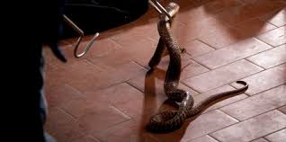 Maybe you would like to learn more about one of these? Arti Sebenarnya Mimpi Ular Masuk Rumah Menurut Islam