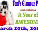 TONI'S GLAMOUR PETS - Updated May 2024 - 45 Photos & 10 Reviews ...