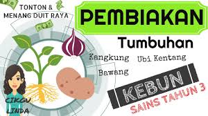 Sains Tahun 3 Pembiakan Tumbuhan I Alatan Kebun I Tonton Menang Cikgulinda Youtube