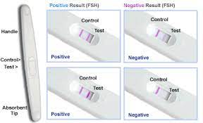 Jul 07, 2020 · how to use a clearblue® pregnancy test. How To Read A Pregnancy Test 1st For Credible News
