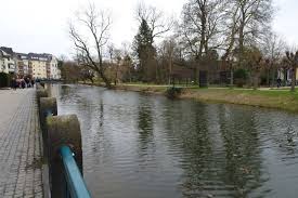 Nicht ohne grund sind bonn und umgebung sehr beliebte und immer belebtere wohngegenden. Wohnung Mieten Bonn Feinewohnung De