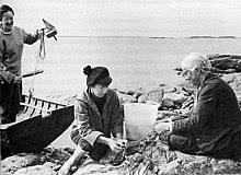 She grew up with her two brothers per olov (b. Tove Jansson Wikipedia