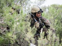 1st camo uniform bundewehr based on wh camo. Gebirgsjagertruppe Bundeswehr Wikipedia