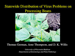 German, Tom) Ag Lime Fert 04