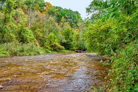 Fall colors and cooler temperatures will draw you in at each of these best places to camp in the fall. 14 Best Places For Camping In Ontario Planetware