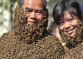 Animalfwd: We're the bees' knees! Staff at China bee farm are covered in  thousands of insects as part of show