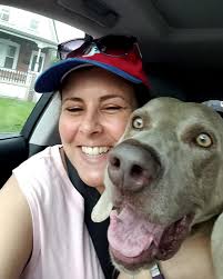 It's a sad day here at PBA as Maria's beloved Weimaraner George lost his  battle with cancer. If you saw Maria you almost always saw George too,  because they were practically attached