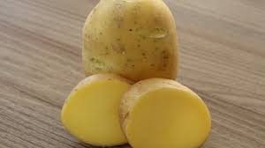 We did not find results for: Trucs De Grand Mere 3 Trucs Pour Enlever Une Tache De Gazon