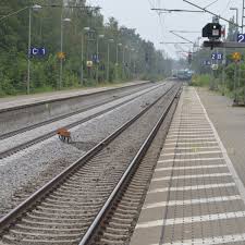 Bahnverkehr Und Strassensperrung An Den Bahngleisen In Elmshorn Mussen Funf Pappeln Weichen Shz De