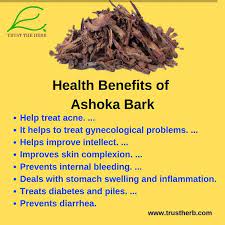 Take equal quantities of ashoka's bark and bramhi powder. Ashoka Bark Health Benefits Of Ashoka Bark And Tree For Details About Price And More Benefits Please Visit Herbalism Natural Detoxification Ayurvedic Herbs