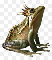 Find more bullfrog coloring page. Bullfrog Png Bullfrog Logo Bullfrog Cartoon Baby Bullfrogs Bullfrog Silhouettes Jeremiah Was A Bullfrog Jeremiah The Bullfrog Bullfrog Tongue Bullfrog In The News Bullfrog Frog Coloring Pages Jeremiah Bullfrog Bullfrog Black Bullfrogs Playing Guitar