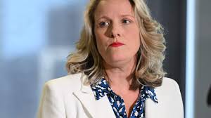 State of disrepair': What can be done to fix Australia's visa system?