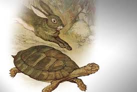 Cerita kura kura dan kelinci yang sombong. Muhammad Arafah Kube Kisah Kelinci Dan Kura Kura Pantang Menyerah Dan Terus Melangkah Masih Ingat Dengan Cerita Ini Dikisahkan Seekor Kelinci Yang Sombong Karena Kecepatannya Menantang Hewan Hewan Lain Untuk Balapan Lari