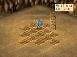 Dolphin emu bisa digunakan untuk bermain hm awl gc di pc, laptop, bahkan android. Download Puass Harvest Moon Back To Nature Tanpa Emulator For Pc