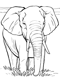 Take a look below on this page to find the links to the other 3. Elephant Sketch Clip Art Google Search Elephant Coloring Page Animal Coloring Books Animal Coloring Pages