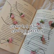 شعر عن حضن الحبيب رومانسي ليدي بيرد