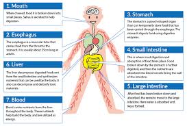 Maybe you would like to learn more about one of these? The Role Of Nutrients And Nutrient Consumption Otsuka Pharmaceutical Co Ltd