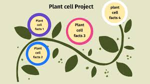 We did not find results for: Plant Cell Mm By Michelle Manjarres On Prezi Next