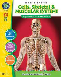It provides the anatomic treasure map to the three zones of your midsection: Cells Skeletal Muscular Systems Gr 5 8 Pdf Download Download Susan Lang 9781553197959 Christianbook Com