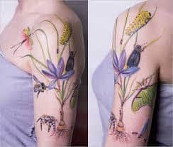 We did not find results for: What Does Praying Mantis Tattoo Mean Represent Symbolism