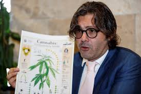 Pequeños empresarios mexicanos y canadienses; Empresarios Mexicanos Se Preparan Para El Boom Del Cannabis Cronicas