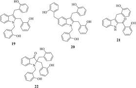 Image result for Uvaria tanzaniae