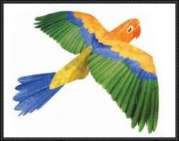 Animal Papercraft Parrot Free Download Colorful Parrots Paper Crafts Parrot