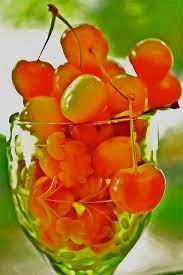 Orange Green Frutas Fruta Naranja