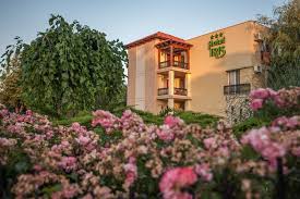 Places mangalia hotelbeach resort hotel iris nalba mimoza. Complex Hotelier Iris Nalba Mimoza Jupiter Precios Actualizados 2021