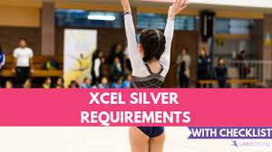 Xcel Silver Requirements