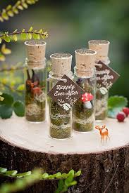Woodland Faerie Terrarium Wedding Favors Recipe Woodland Fairy Party Terrarium Wedding Terrarium Wedding Favor