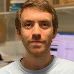 The majority of histone acetylation is a consequence of transcription