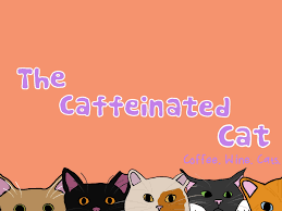 Xfinity stores & comcast service centers in jacksonville, fl. The Caffeinated Cat Home Facebook