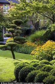 In Detail Swd11043 Garden Landscape Design Japanese Garden Beautiful Gardens