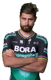 Последние твиты от peter sagan (@petosagan). See Ya Goodbye Sticker By Specialized Bicycles For Ios Android Giphy