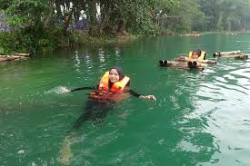 $20/night for full service electric sites (27 available) senior pass and access pass (formerly golden age and golden access passports) are accepted at this campground. Hotelr Activity Bamboo Hut At Tadom Hill Resort Diving