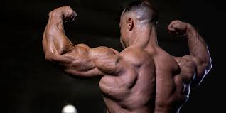 maximizing triceps development elite fts