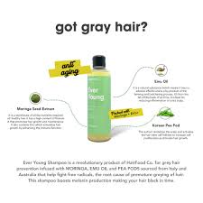 The whole process takes around 5 days. Hairfood Co Ever Young Shampoo For Grey Hair 250ml Shopee Philippines