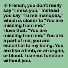 We did not find results for: In French You Don T Really Say I Miss You Instead You Say Tu Me Manques