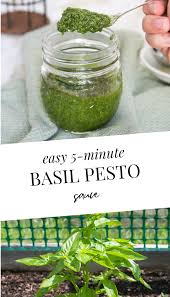 New Blog Easy 5 Minute Basil Pesto Sauce The Cookie Doodle Recipe In 2020 Basil Pesto Basil Pesto Sauce Pesto Sauce