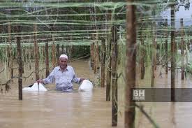 Langkah selanjutnya yang diambil oleh indonesia pasca keputusan pembumihangusan kota bandung adalah ? Habis Beg Semaian Timun Dihanyutkan Banjir