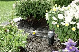 Eine möglichkeit, dies zu erreichen, ist die effiziente bewässerung deines gartens. Automatische Bewasserungssysteme Mein Schoner Garten