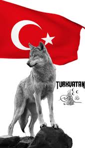 Https Encrypted Tbn0 Gstatic Com Images Q Tbn And9gcrh Afd9wvx8wfuzkm5dv Xvg Q1647rekg0a Usqp Cau