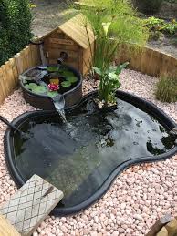 Idea Para El Patio Projets De Jardins Jardin D Eau Bassin De Jardin