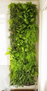 Diy Greenwalls Vertical Garden Diy Green Wall Plants Wall Garden Indoor