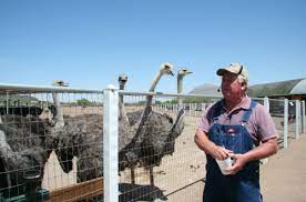 Read online books for free new release and bestseller Roadside Farm Fun At Rooster Cogburn Ostrich Ranch