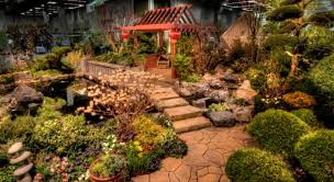 The lan su chinese garden, smack dab in the middle of downtown, has a sweet story behind it. Chinese Garden Take Root With Dennis 7 Dees