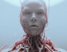 daphne Maurier Projects :: Photos, videos, logos, illustrations and  branding :: Behance