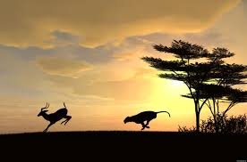 Image result for inspirational pics